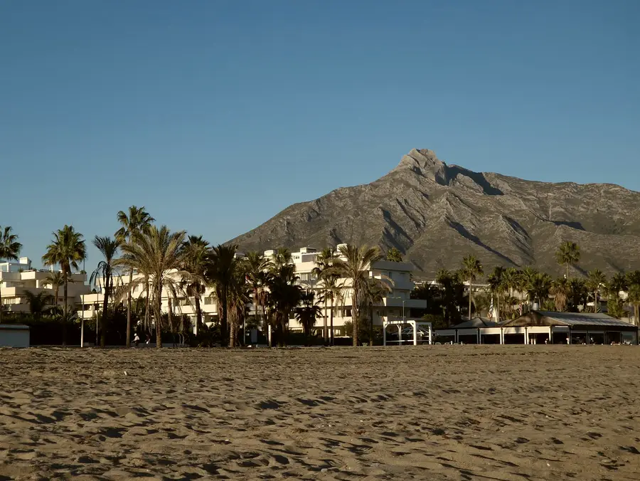 Palms and white villas at the foot of La Concha mountain in golden light.